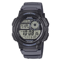 AE-1000W-8A